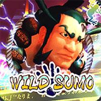 Wild Sumo